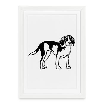 Beagle - Affiche encadrée (27 × 37 cm) - blanc - Devant
