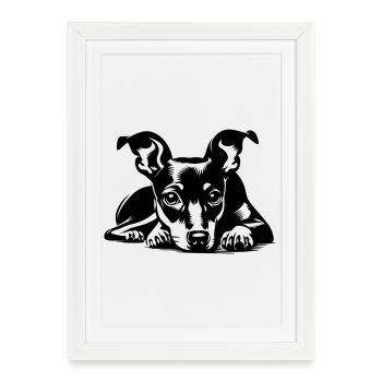 Miniature Pinscher - Framed poster (27 × 37 cm) - white - Front