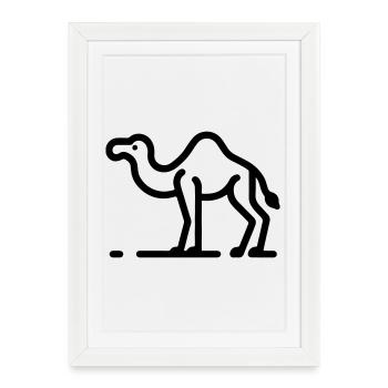 Chameau - Affiche encadrée (27 × 37 cm) - blanc - Devant
