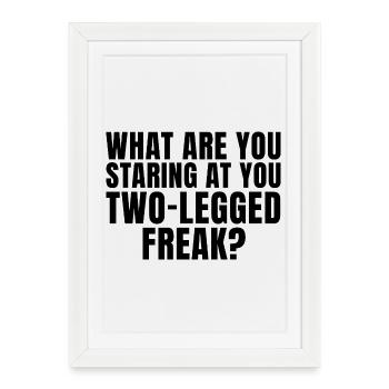 Why are you staring at me like that, you two-legged freak? - Framed poster (27 × 37 cm) - white - Front