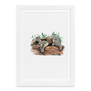koala bear - Affiche encadrée (27 × 37 cm) - blanc - Devant