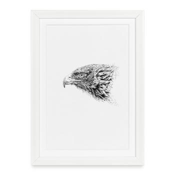 Eagle - Framed poster (27 × 37 cm) - white - Front