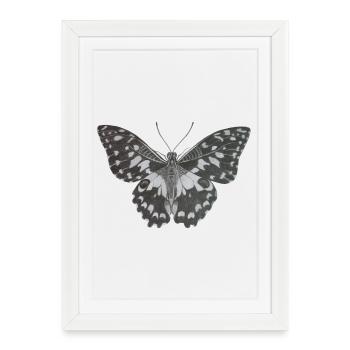 Elegant monochrome butterfly in black and white - Framed poster (27 × 37 cm) - white - Front