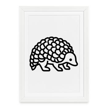 pangolin - Affiche encadrée (27 × 37 cm) - blanc - Devant