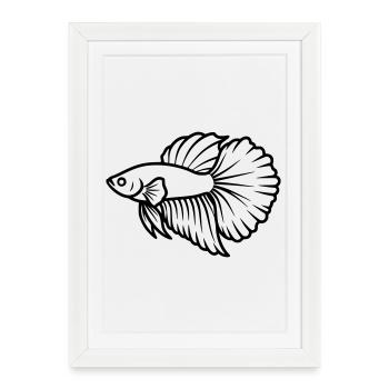 Kampffisch Betta Splendens Aquarium - Affiche encadrée (27 × 37 cm) - blanc - Devant