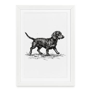 Dackel Sketch – Minimalistisches Hund Design - Gerahmtes Poster (27 × 37 cm) - Weiß - Vorne