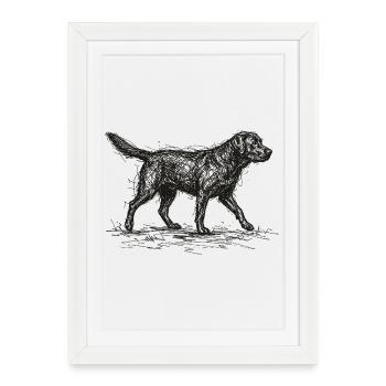 Labrador Sketch – Minimalistisches Hund Design - Gerahmtes Poster (27 × 37 cm) - Weiß - Vorne