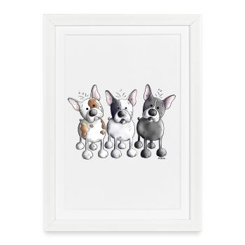 Trois bouledogues français - Bouledogue - Chien - Affiche encadrée (27 × 37 cm) - blanc - Devant