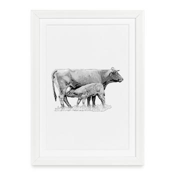 Don d’un fermier vache avec veau - Affiche encadrée (27 × 37 cm) - blanc - Devant
