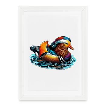 Canard mandarin - Affiche encadrée (27 × 37 cm) - blanc - Devant