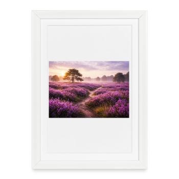 Champ de lavande au lever du soleil - Affiche encadrée (27 × 37 cm) - blanc - Devant