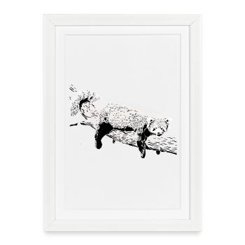 Lazy Red Panda - Affiche encadrée (27 × 37 cm) - blanc - Devant
