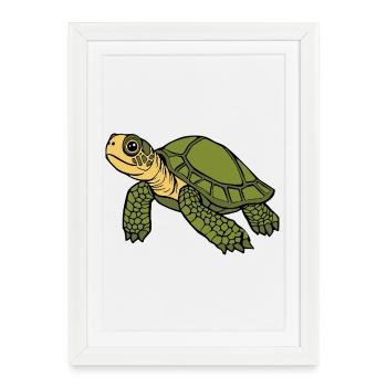 Turtle Turtles - Framed poster (27 × 37 cm) - white - Front