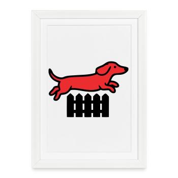Agilité au saut de clôture teckel - Affiche encadrée (27 × 37 cm) - blanc - Devant