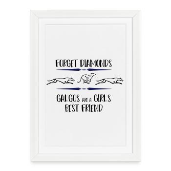 Galgos running - Framed poster (27 × 37 cm) - white - Front