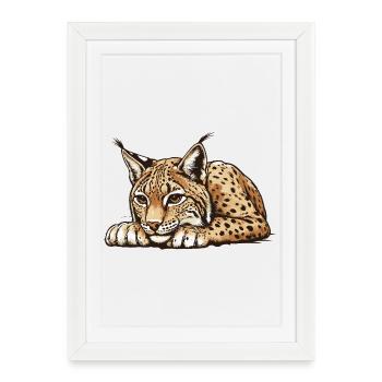 Lynx - Affiche encadrée (27 × 37 cm) - blanc - Devant