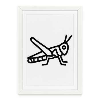 sauterelle - Affiche encadrée (27 × 37 cm) - blanc - Devant