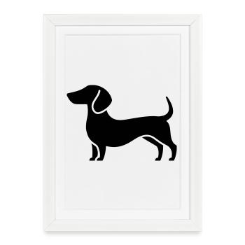 teckel - Affiche encadrée (27 × 37 cm) - blanc - Devant