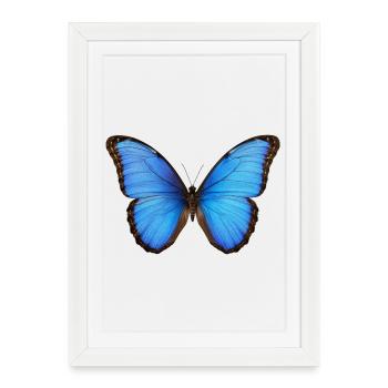 Style réaliste Blue Morpho Butterfly - Affiche encadrée (27 × 37 cm) - blanc - Devant