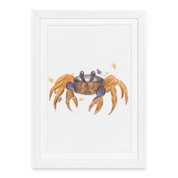 Crabe mignon - Affiche encadrée (27 × 37 cm) - blanc - Devant
