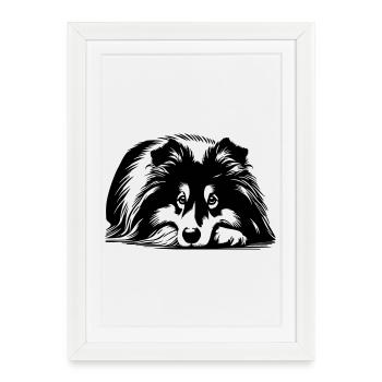 Sheltie - Framed poster (27 × 37 cm) - white - Front
