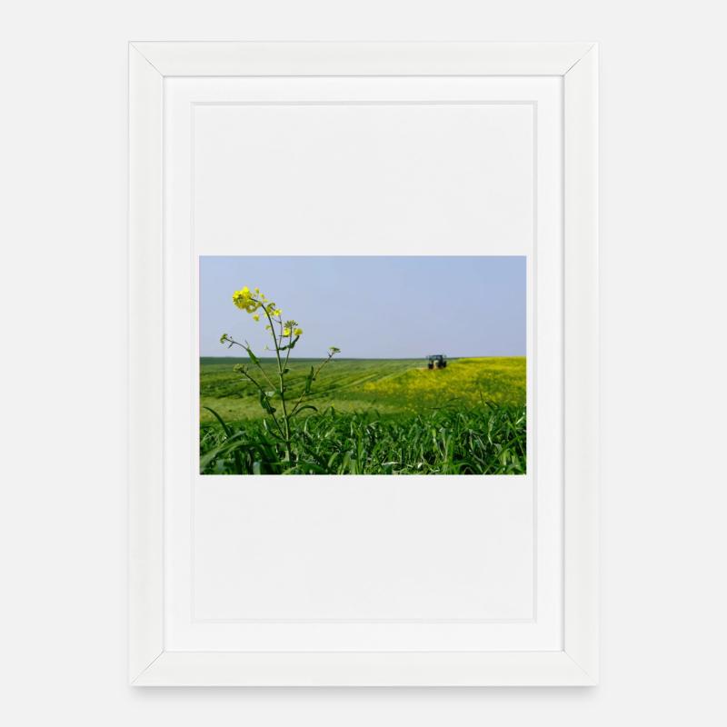 Rare - Framed poster (27 × 37 cm) - white