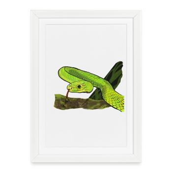 Serpent vert brillant dans la jungle - Affiche encadrée (27 × 37 cm) - blanc - Devant