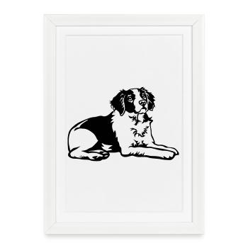 Epagneul Breton - Affiche encadrée (27 × 37 cm) - blanc - Devant