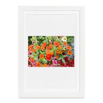 Jardin fleuri – Atmosphère colorée - Affiche encadrée (27 × 37 cm) - blanc - Devant