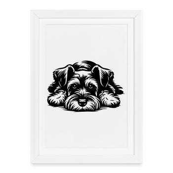 Miniature Schnauzer - Framed poster (27 × 37 cm) - white - Front