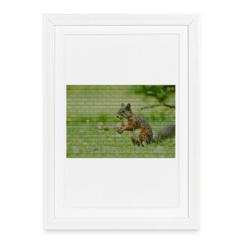 Motif de forêt d’écureuil - Affiche encadrée (27 × 37 cm) - blanc - Devant