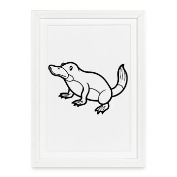 Ornithorynque - Affiche encadrée (27 × 37 cm) - blanc - Devant
