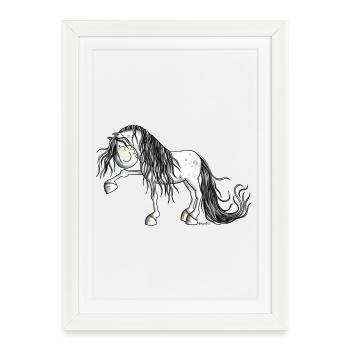 Andalusian Horse - Affiche encadrée (27 × 37 cm) - blanc - Devant
