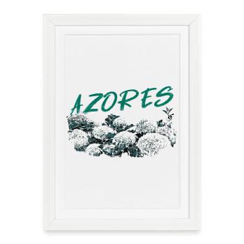 Azores Botanical Hydrangeas Turquoise - Framed poster (27 × 37 cm) - white - Front