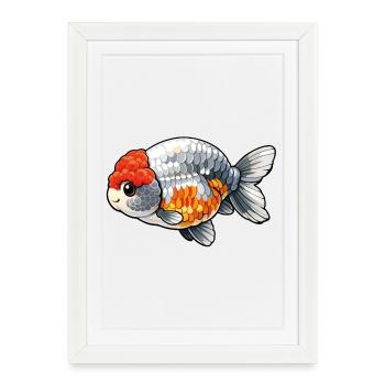 SUPER FAT RANCHU© Silver Red Wen Poisson rouge Ranchu - Affiche encadrée (27 × 37 cm) - blanc - Devant