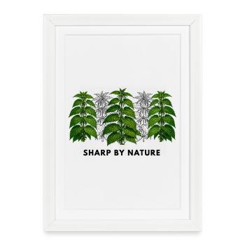 Stinging nettle is sharp by nature - Framed poster (27 × 37 cm) - white - Front