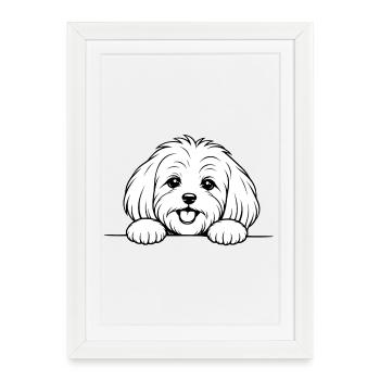 Malteser_Hund_mit_Pfoten_weiss - Framed poster (27 × 37 cm) - white - Front