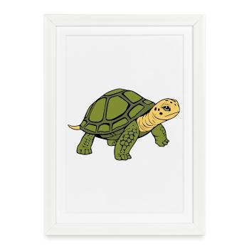 Turtle Turtles - Framed poster (27 × 37 cm) - white - Front