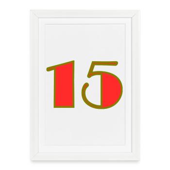 15. 15 ANS. 15e ANNIVERSAIRE. ANNIVERSAIRE 15 ANS. - Affiche encadrée (27 × 37 cm) - blanc - Devant