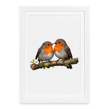 Duo Red Robin on Branch - Framed poster (27 × 37 cm) - white - Front