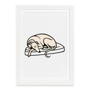 Galgo endormi - Affiche encadrée (27 × 37 cm) - blanc - Devant