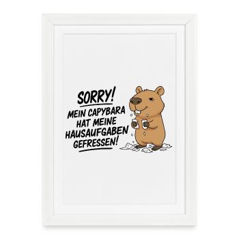 Pardon! Capybara a mangé mes devoirs - Affiche encadrée (27 × 37 cm) - blanc - Devant