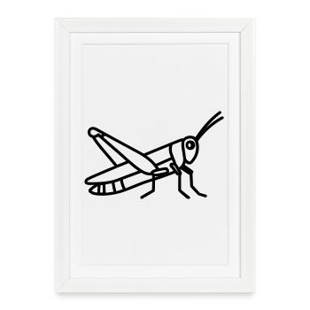 sauterelle - Affiche encadrée (27 × 37 cm) - blanc - Devant