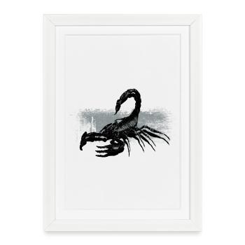 Design contrastant Scorpion Noir Blanc - Affiche encadrée (27 × 37 cm) - blanc - Devant