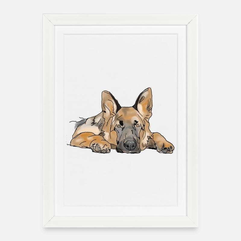Chien de berger - Affiche encadrée (27 × 37 cm) - blanc