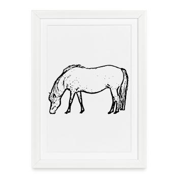 Horse black - Framed poster (27 × 37 cm) - white - Front