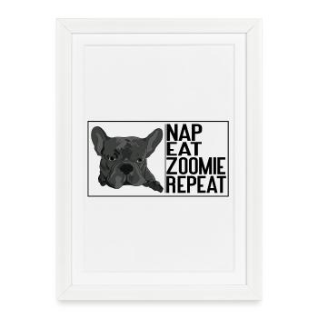 Nap Eat Zoomie Repeat – French Bulldog - Framed poster (27 × 37 cm) - white - Front