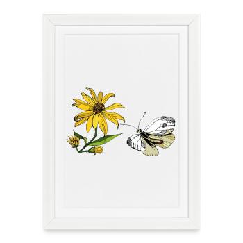 Papillon et Tournesol - Affiche encadrée (27 × 37 cm) - blanc - Devant
