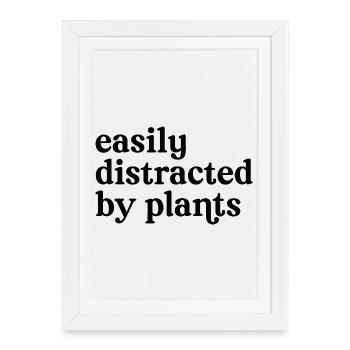 Facilement distraite par les plantes. - Affiche encadrée (27 × 37 cm) - blanc - Devant