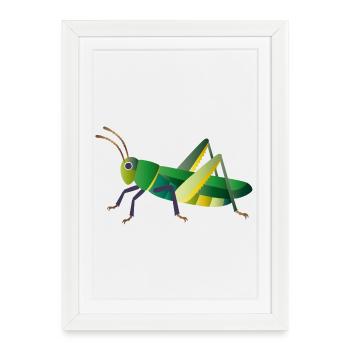 Style nature sauterelle verte - Affiche encadrée (27 × 37 cm) - blanc - Devant